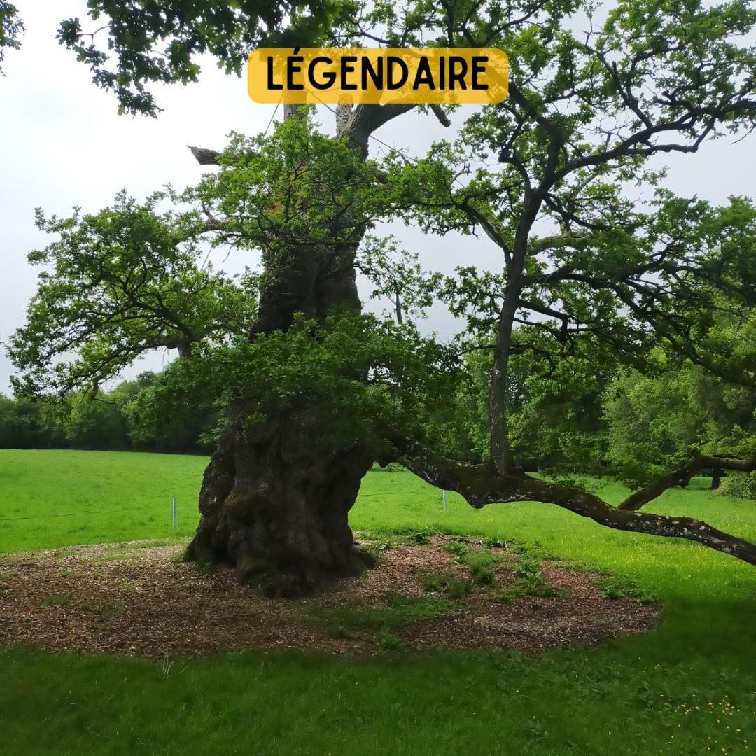 Camping Le Val Aux Fees - Broceliande Concoret Bagian luar foto